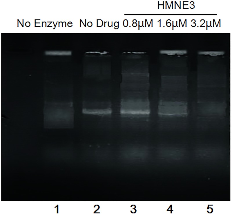 Fig 9