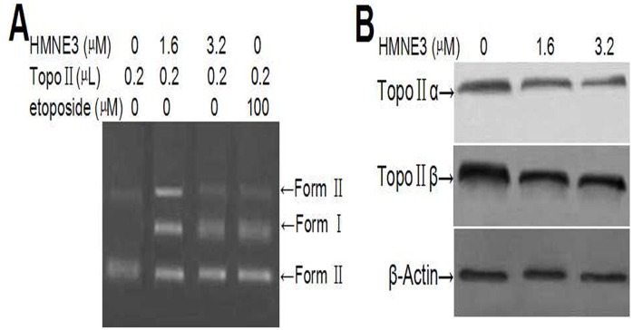 Fig 8