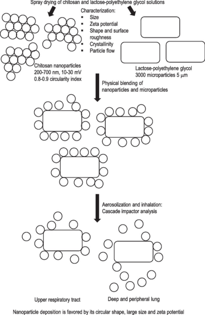 Image, graphical abstract