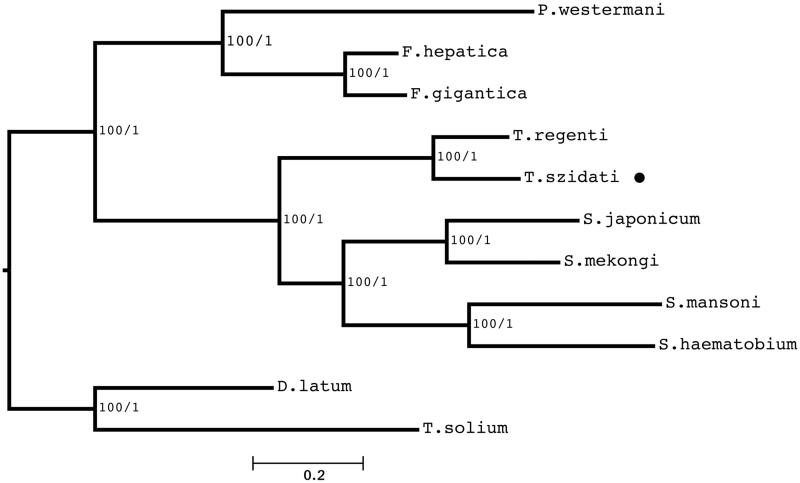 Figure 1.