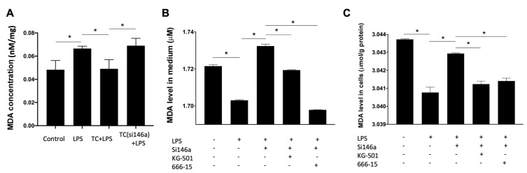 
Figure2
