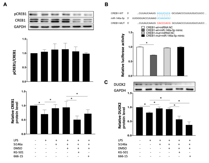 
Figure4
