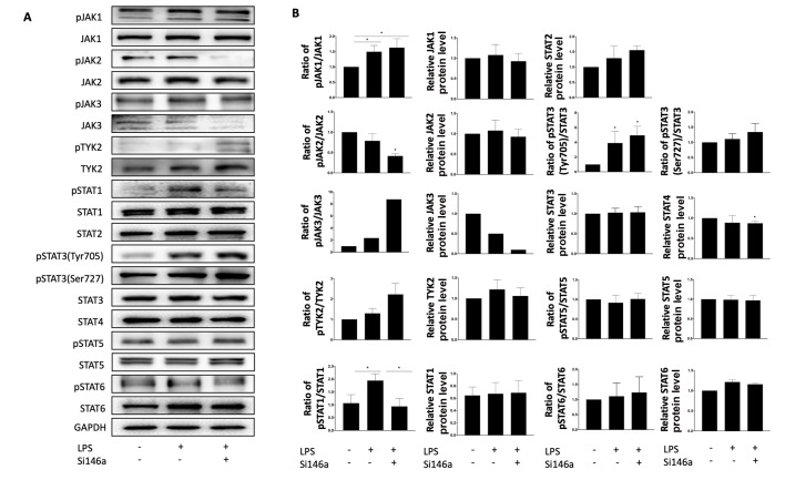 
Figure5
