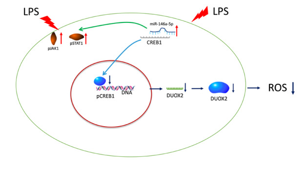 
Figure6
