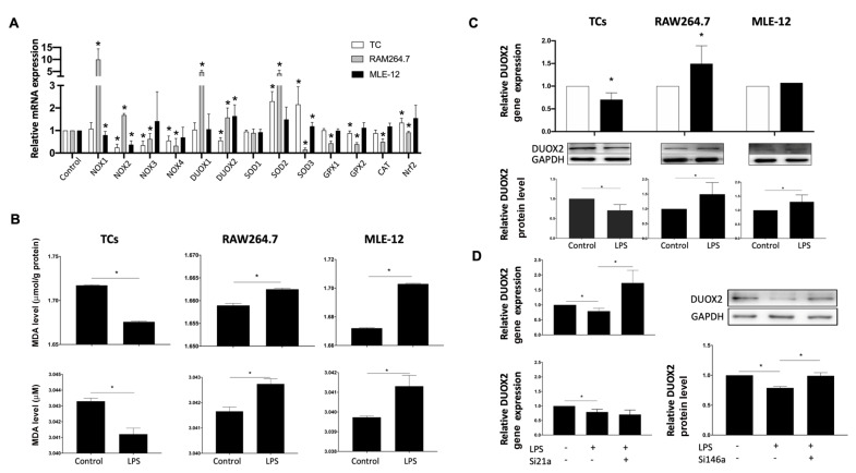 
Figure3
