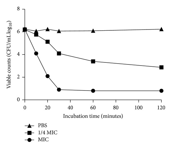 Figure 2