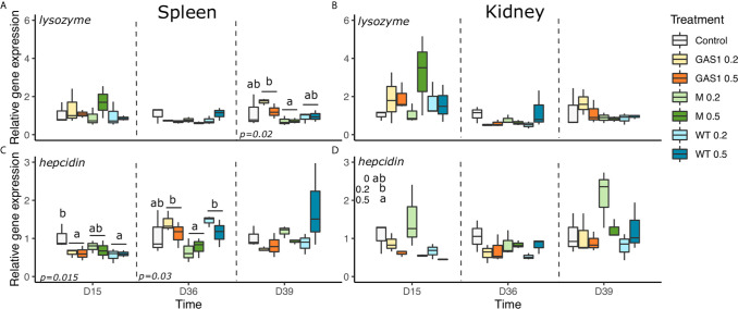 Figure 6