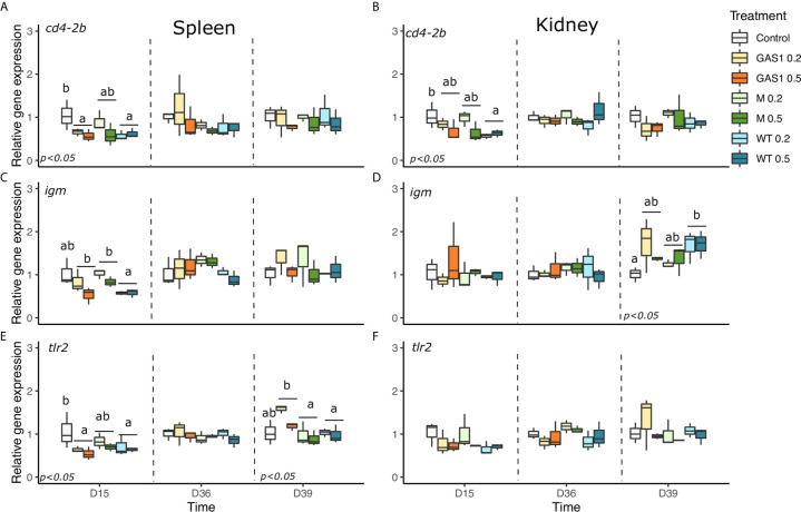 Figure 4