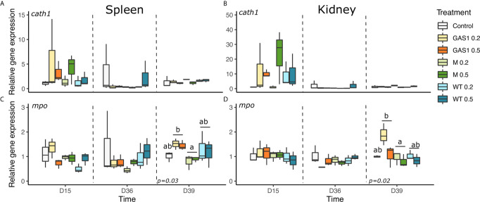 Figure 7