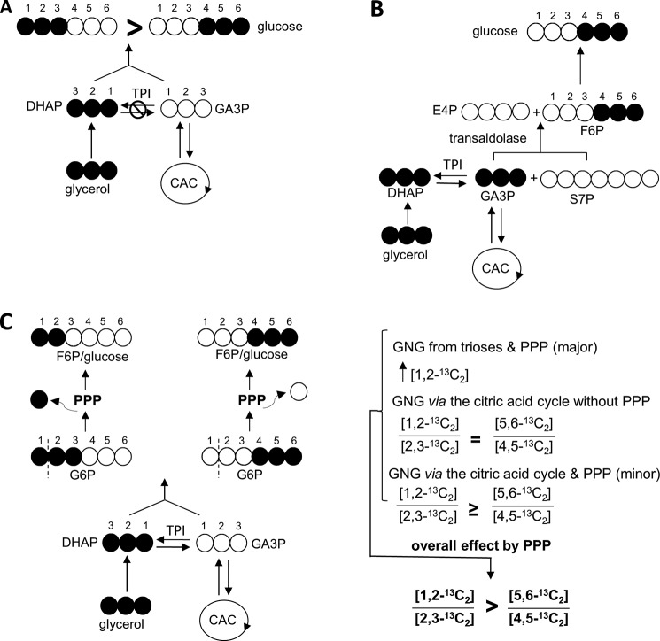 FIGURE 2.