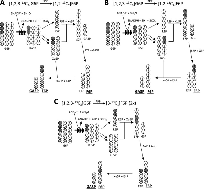 FIGURE 3.