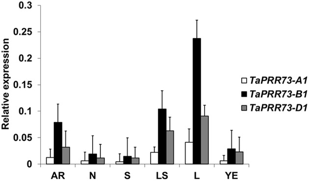 Figure 5