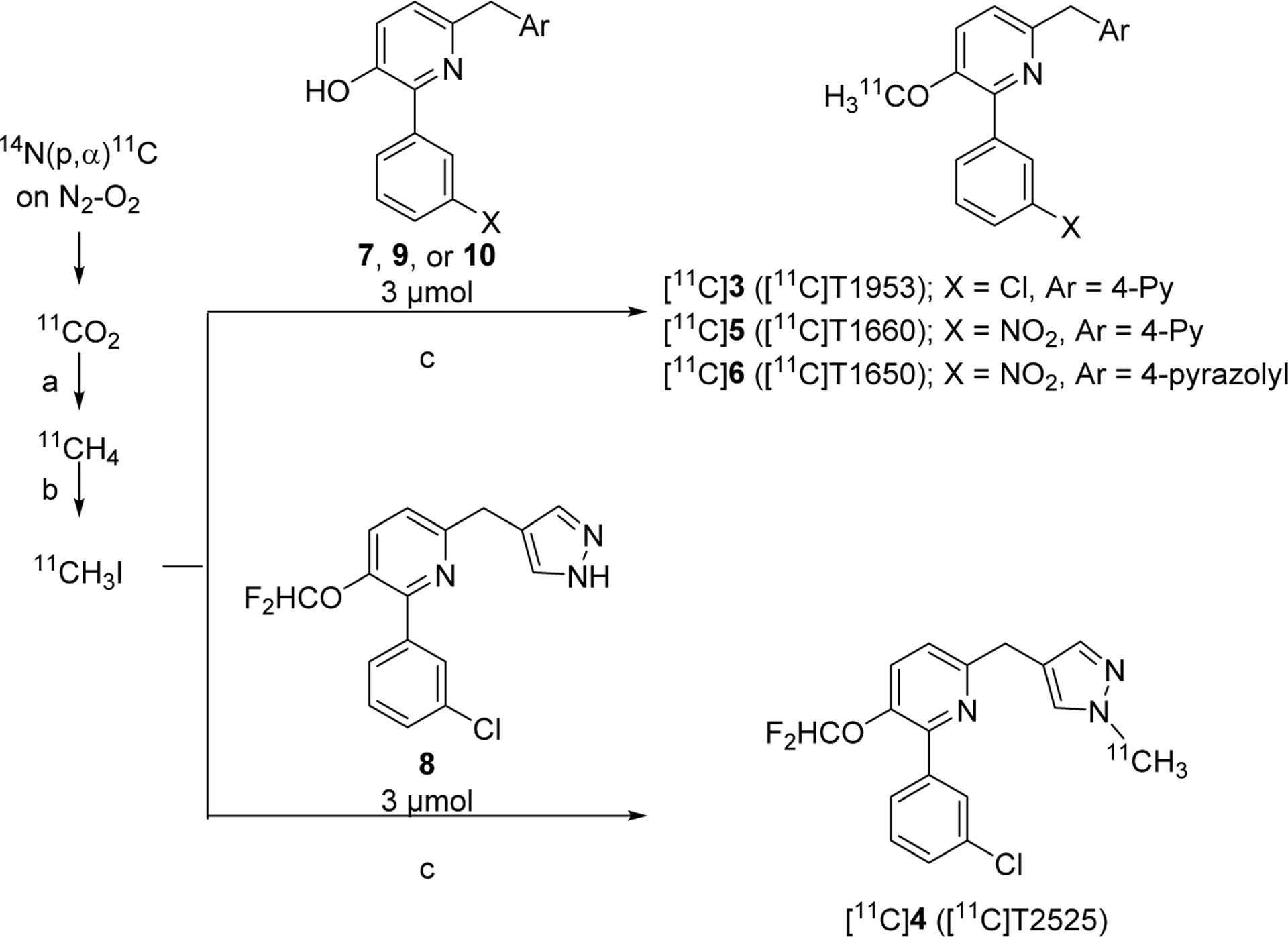 Scheme 2.