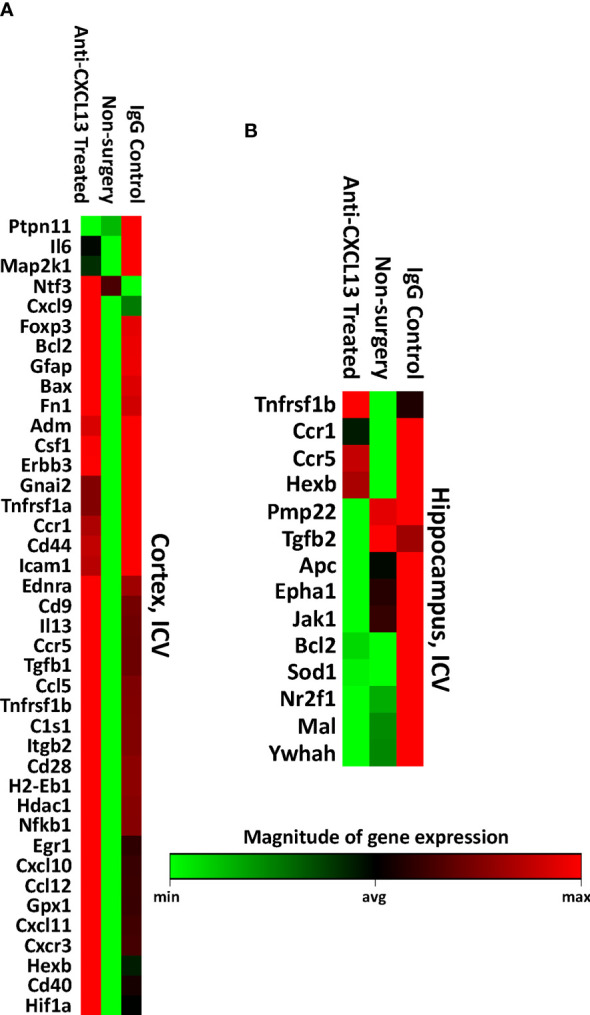 Figure 11