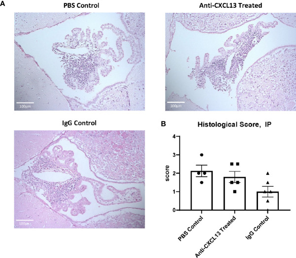 Figure 4