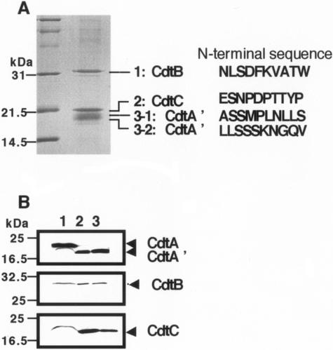 FIG. 4.