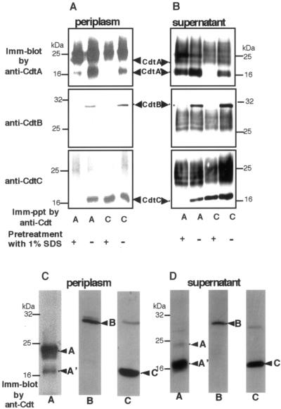 FIG. 3.