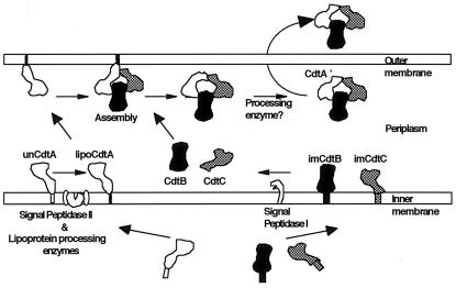 FIG. 6.