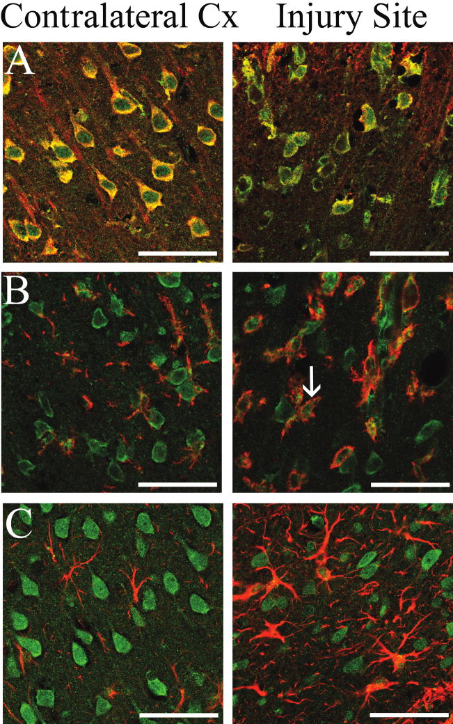 FIG. 6