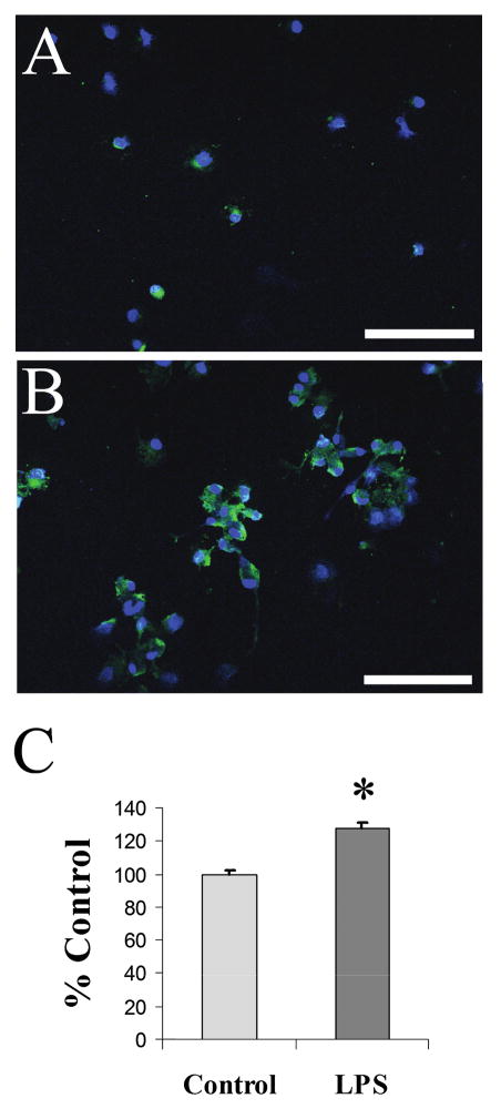 FIG. 8