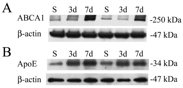 FIG. 5