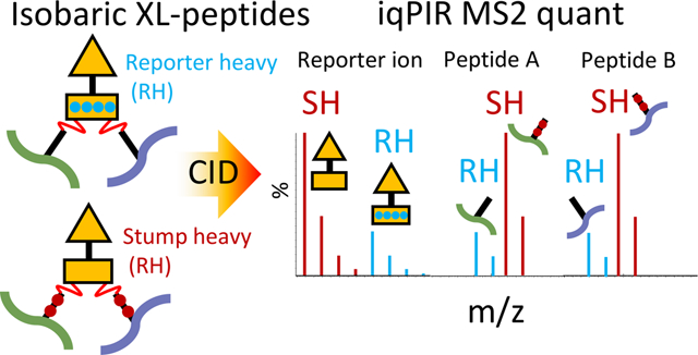 graphic file with name nihms-1678920-f0001.jpg