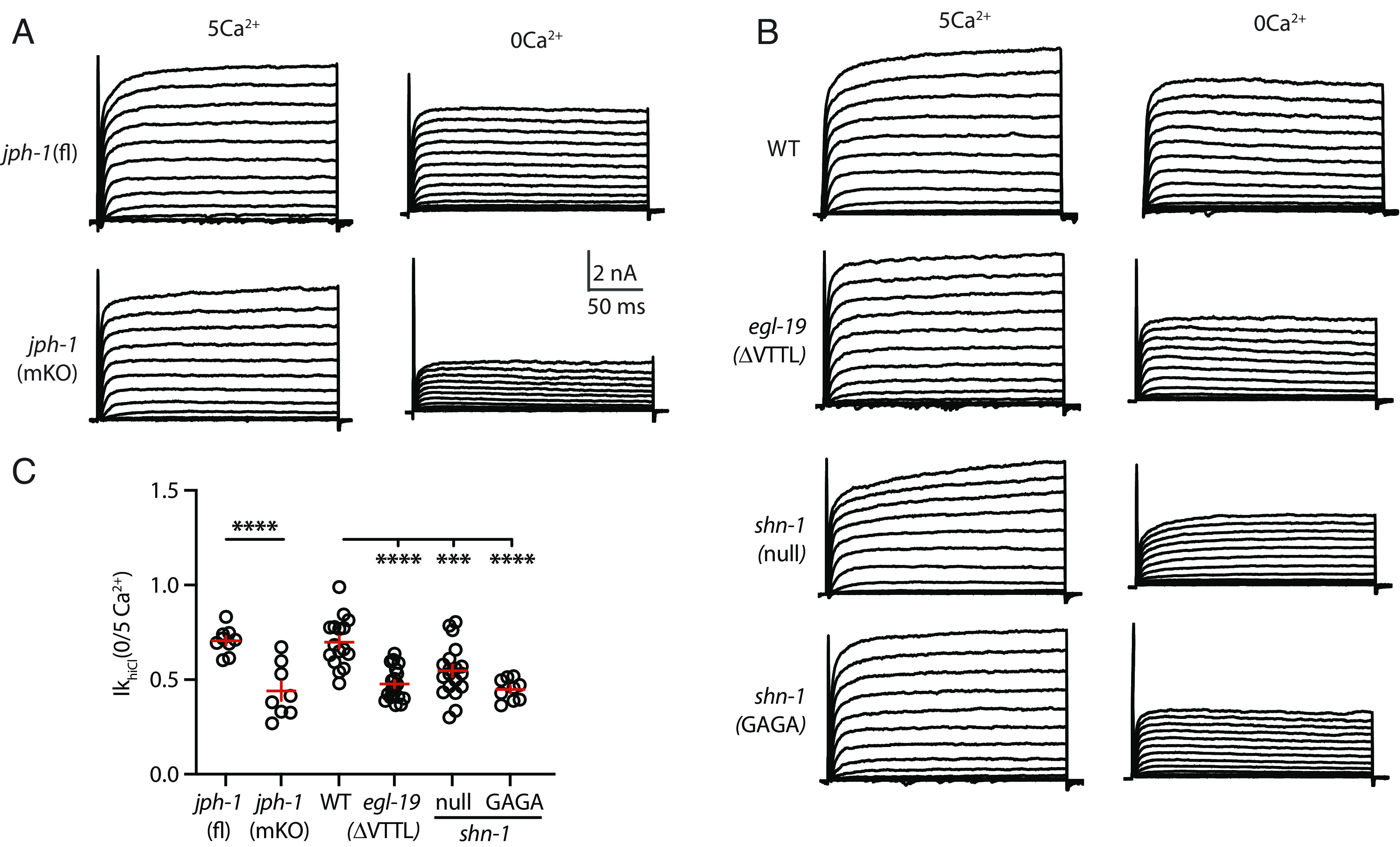 Fig. 4.