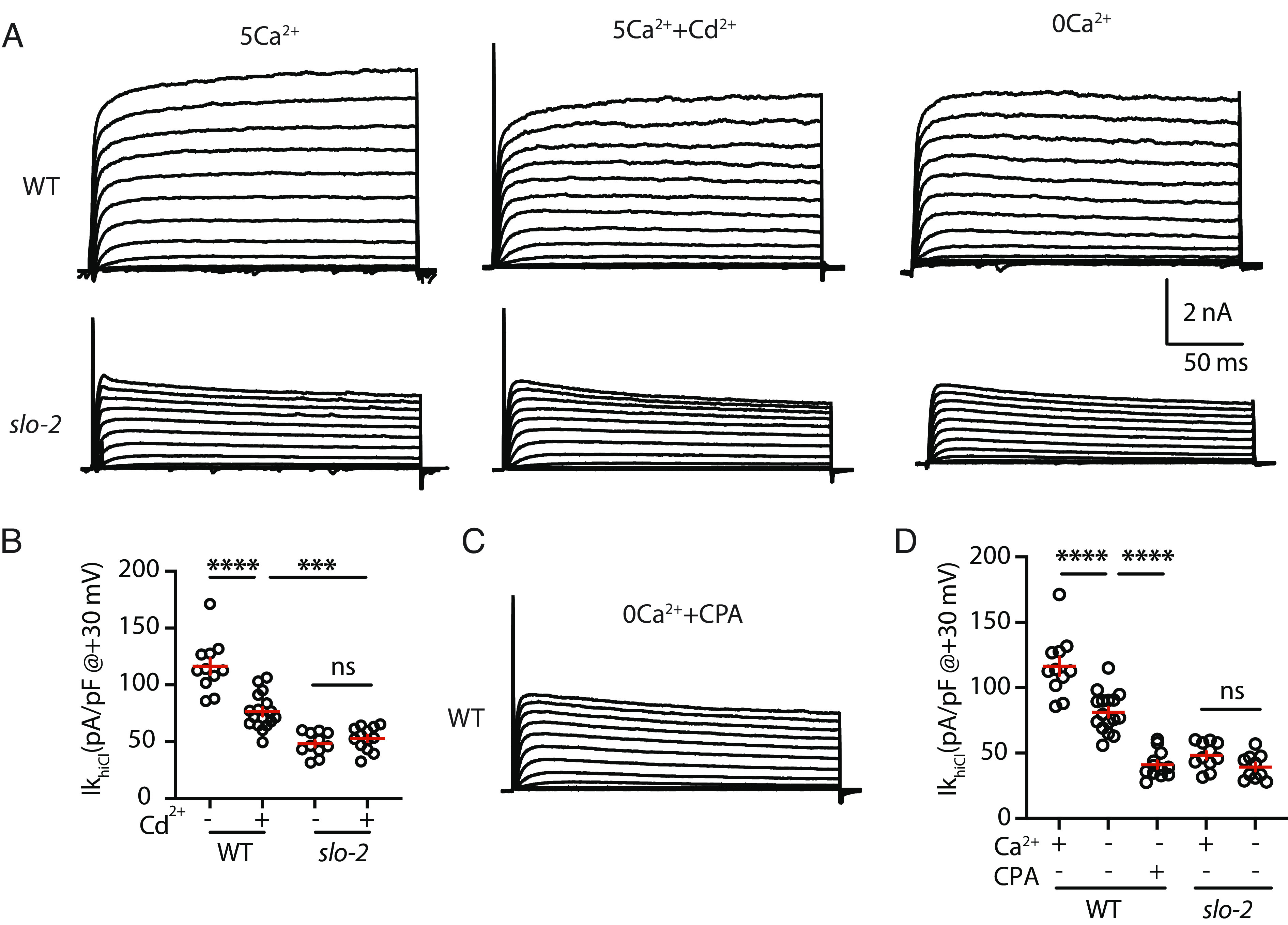 Fig. 2.