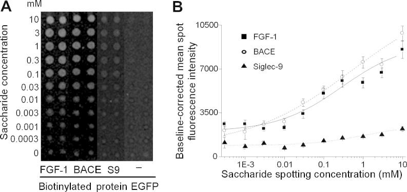 Fig.5