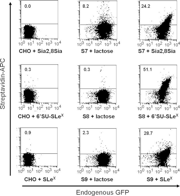 Fig.3