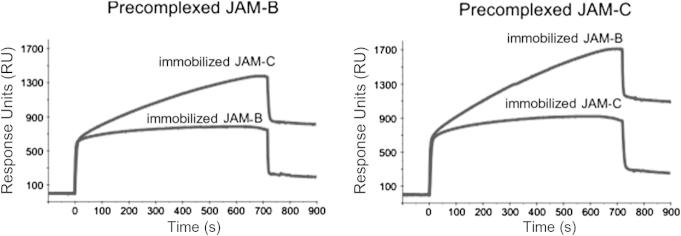 Fig.8