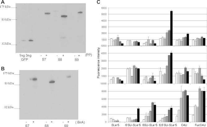 Fig.4