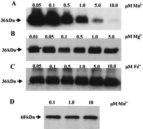 FIG. 8.