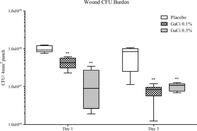 FIG 6