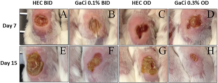 FIG 2