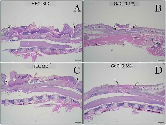 FIG 5