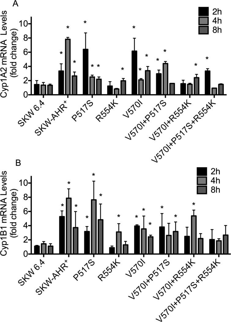 Figure 6