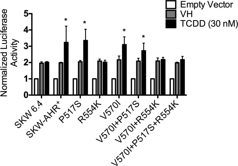 Figure 7