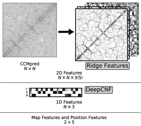 Fig. 12