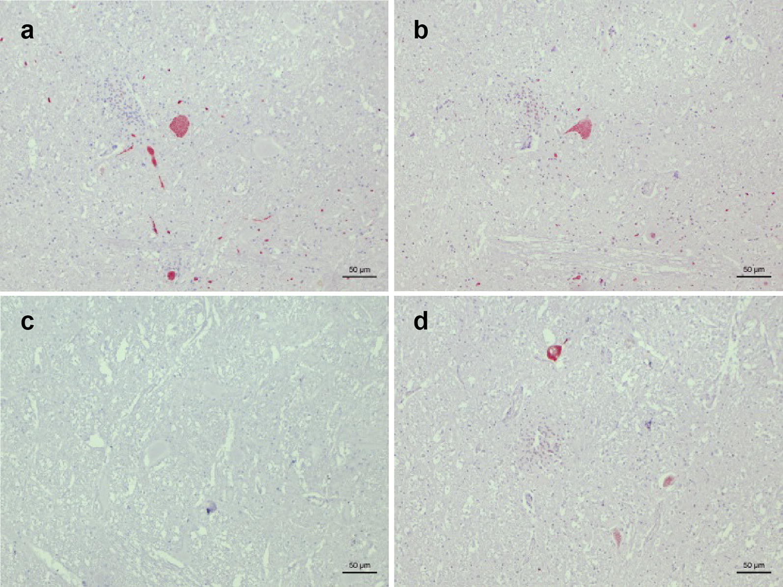 Fig. 2