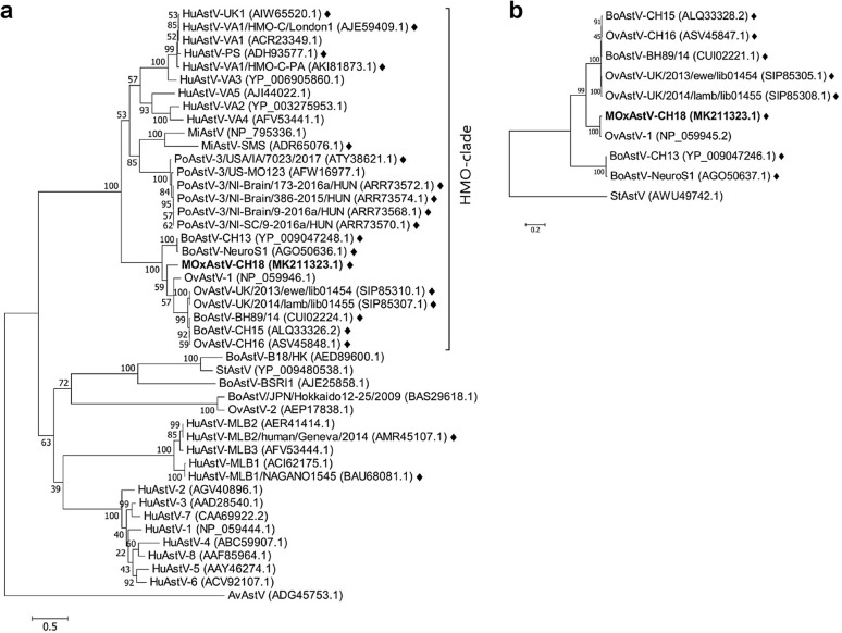 Fig. 3