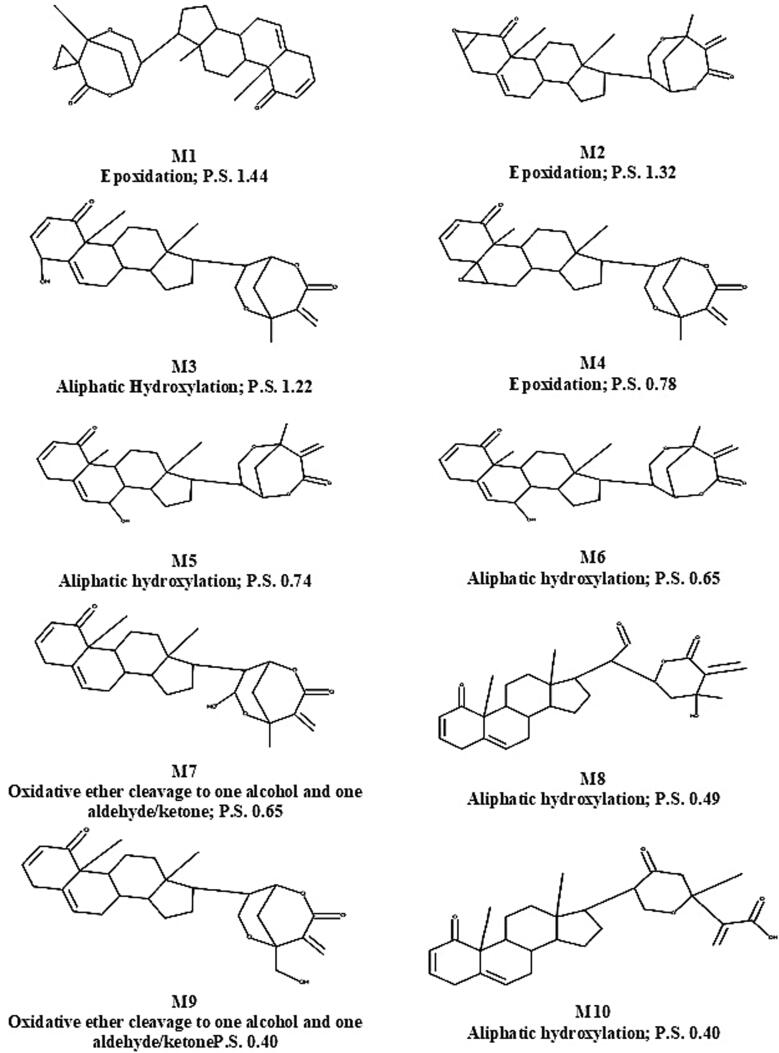 Fig. 1