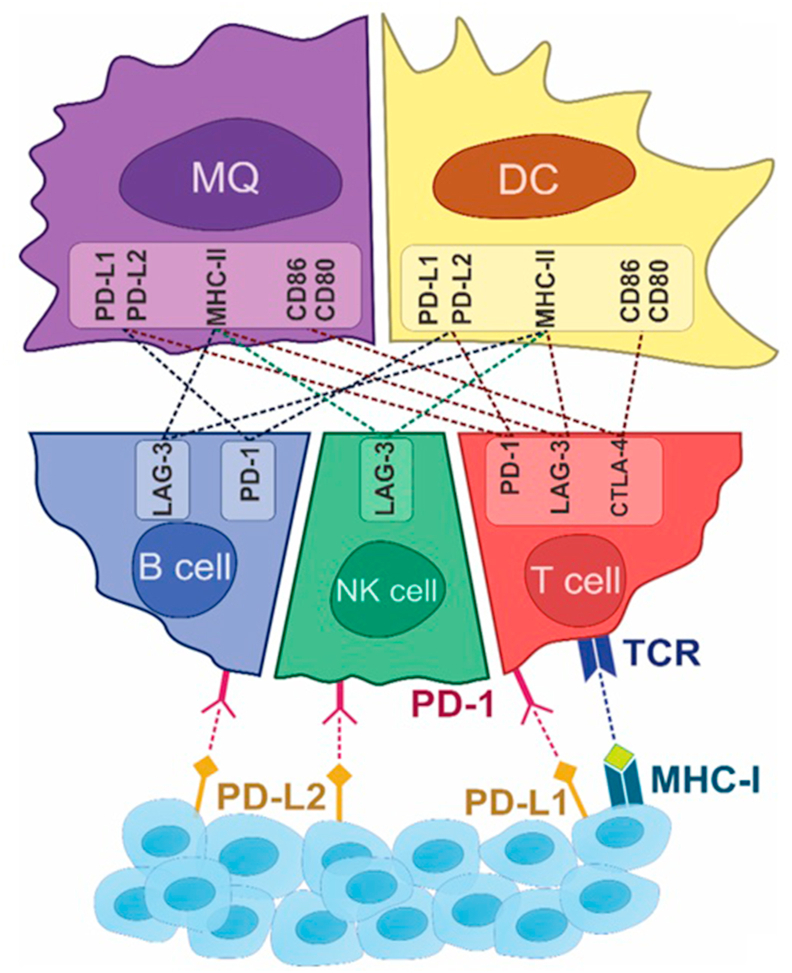 Figure 2