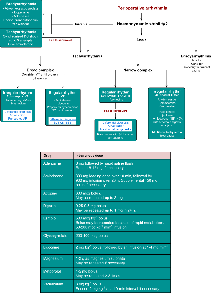 Figure 5