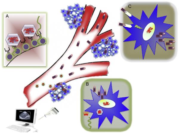 Figure 1.4