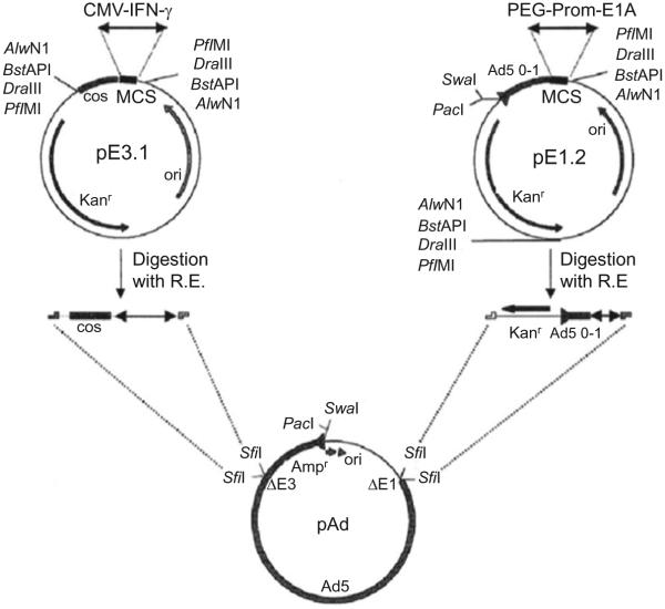 Figure 1.2