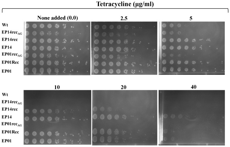 Figure 4.