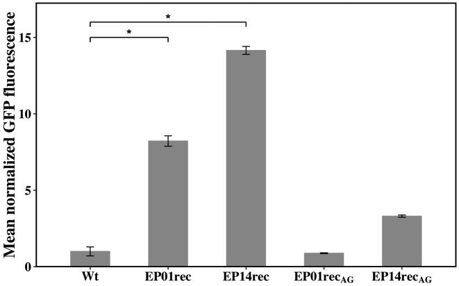 Figure 5.