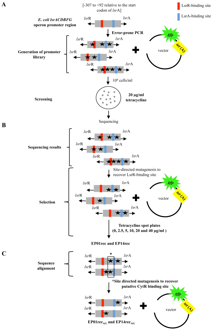 Figure 1.