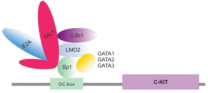 Fig. 5